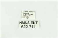 寬紋黃毒蛾藏品圖，第3張