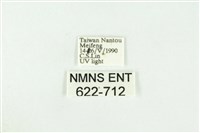 寬紋黃毒蛾藏品圖，第3張