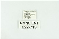 寬紋黃毒蛾藏品圖，第3張