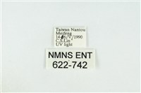 寬紋黃毒蛾藏品圖，第3張