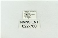 素木氏美波紋蛾藏品圖，第3張