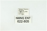 寬紋黃毒蛾藏品圖，第3張