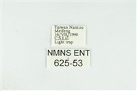 寬紋黃毒蛾藏品圖，第3張