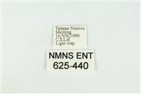 寬紋黃毒蛾藏品圖，第3張