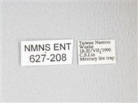 圓翅大鉤蛾藏品圖，第3張