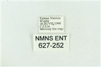 粉紅帶散紋夜蛾藏品圖，第3張