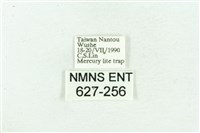 粉紅帶散紋夜蛾藏品圖，第3張