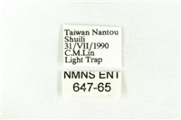 樹形尺蛾藏品圖，第3張