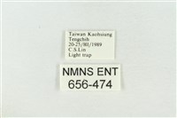 連珠波紋蛾藏品圖，第3張