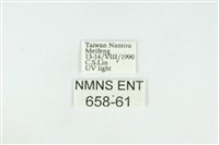 寬紋黃毒蛾藏品圖，第3張