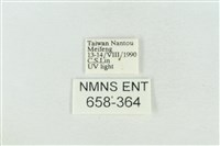 臺灣銀斑異波紋蛾藏品圖，第3張