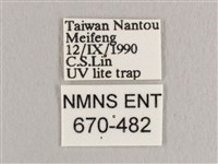 銀端帶鉤蛾藏品圖，第3張