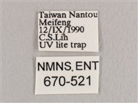 銀端帶鉤蛾藏品圖，第3張