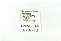 樹形尺蛾藏品圖，第3張