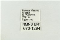 印華波紋蛾藏品圖，第3張