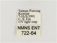 榕透翅毒蛾藏品圖，第3張