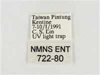 小白紋毒蛾藏品圖，第3張