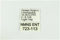 黑翅黃毒蛾藏品圖，第3張