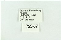 粉紅帶散紋夜蛾藏品圖，第3張