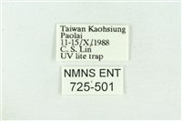 菊池污燈蛾藏品圖，第3張