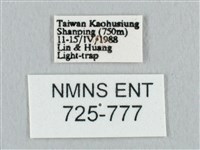 鉛斑帶鉤蛾藏品圖，第3張