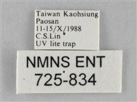 斜紋夜盜蛾藏品圖，第3張