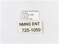 蓬萊茶斑蛾藏品圖，第3張