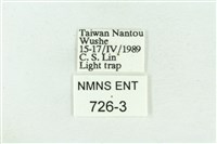 菊池污燈蛾藏品圖，第3張