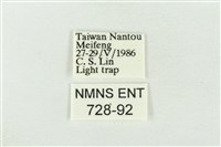 素木綠刺蛾藏品圖，第3張