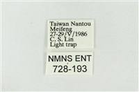 連珠波紋蛾藏品圖，第3張