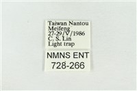 連珠波紋蛾藏品圖，第3張