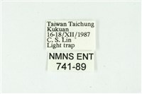 白斑散紋夜蛾藏品圖，第3張