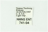 白斑散紋夜蛾藏品圖，第3張