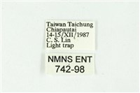 白斑散紋夜蛾藏品圖，第3張