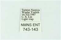 三色豔苔蛾藏品圖，第3張