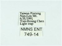 東方單羽蛾藏品圖，第3張