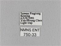 青枯葉蛾藏品圖，第3張