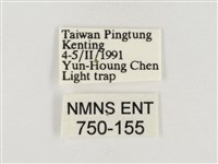 榕透翅毒蛾藏品圖，第3張