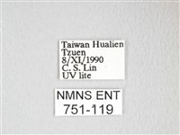 彌新冥枯葉蛾藏品圖，第3張