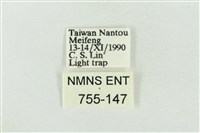 寬帶波紋蛾藏品圖，第3張