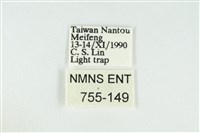 寬紋黃毒蛾藏品圖，第3張