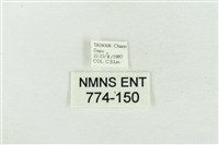 臺洒波紋蛾藏品圖，第3張