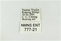 印華波紋蛾藏品圖，第3張