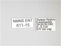 凹角鉤蛾藏品圖，第3張