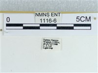 登錄號:001116-00006藏品圖，第3張