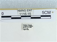 登錄號:001116-00015藏品圖，第3張