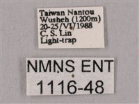 桃紅六點天蛾藏品圖，第3張