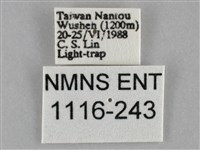 登錄號:001116-00243藏品圖，第3張