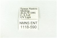 樹形尺蛾藏品圖，第3張