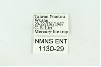 粉紅帶散紋夜蛾藏品圖，第3張